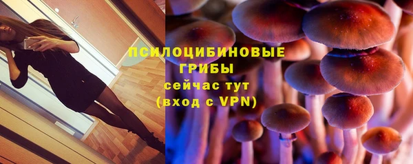 таблы Алзамай