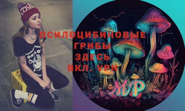 прущий лед Армянск