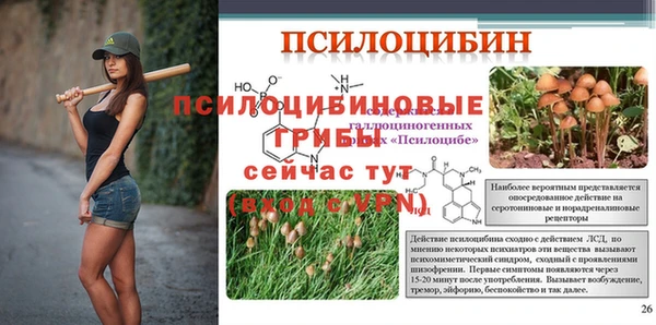 таблы Алзамай