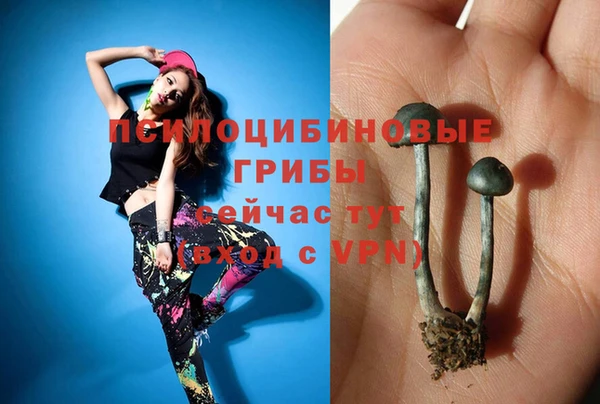 прущий лед Армянск